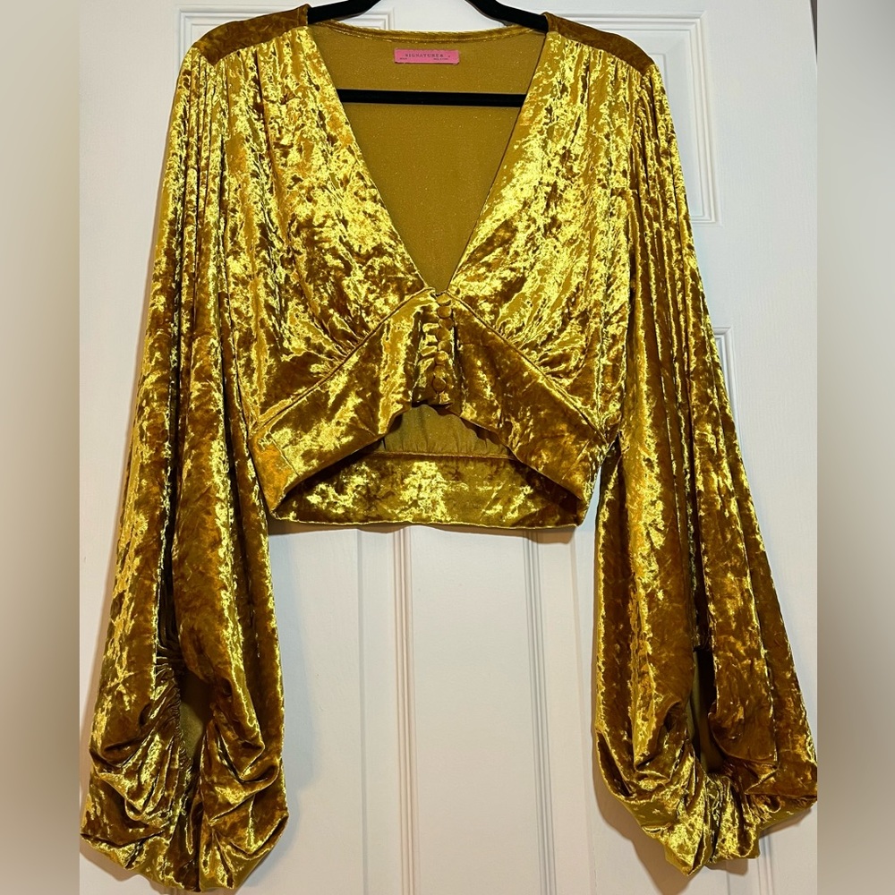 Velvet Crop Top with Balloon Sleeve